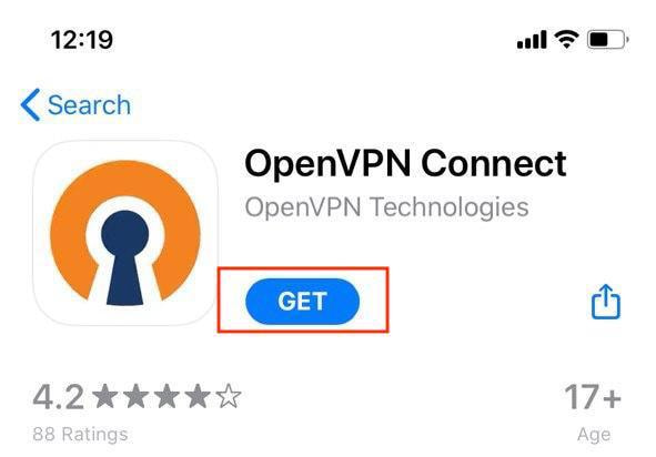 Как настроить openvpn на iphone